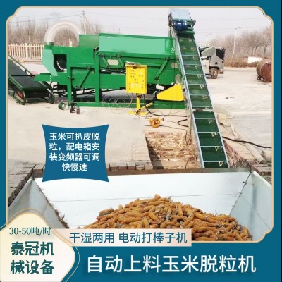 铲车上料棒子脱粒机地坑款玉米打粒机干湿两用河北电动苞米脱粒机图3