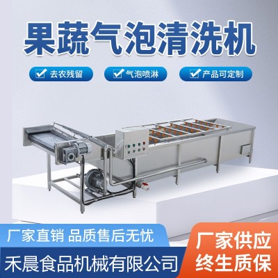 全自动水果蔬菜清洗机 喷淋式去农残洗菜机 小龙虾气泡清洗设备图5