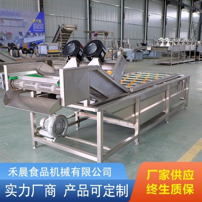 全自动水果蔬菜清洗机 喷淋式去农残洗菜机 小龙虾气泡清洗设备图3