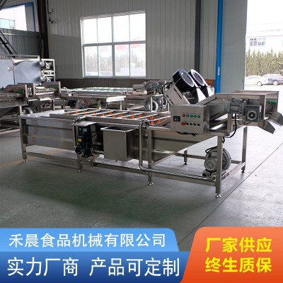 全自动果蔬气泡清洗机 商用高压喷淋洗菜机 果蔬海鲜气泡 清洗设备图2