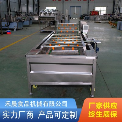 全自动果蔬气泡清洗机 商用高压喷淋洗菜机 果蔬海鲜气泡 清洗设备图3