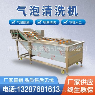 气泡蔬菜清洗机 全自动喷淋式果蔬清洗沥水风干流水线 蔬菜消毒机图3