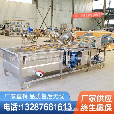 气泡蔬菜清洗机 全自动喷淋式果蔬清洗沥水风干流水线 蔬菜消毒机图4
