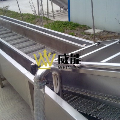 厂家直销大型工业商用菠萝橙子百香果番茄淋水（水浴）式清洗机图3