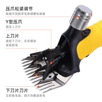 跨境电动羊毛剪大功率电推子带变压器剪毛机羊毛推电剪刀厂家定制图2
