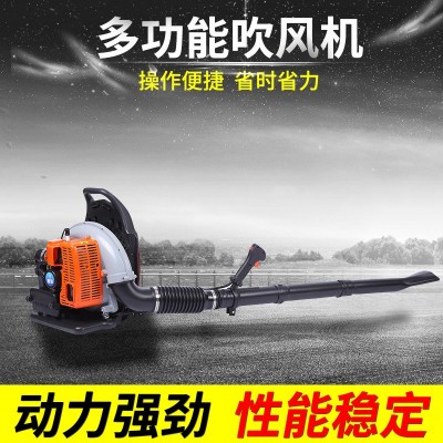 背负式马路吹风机 多功能大棚吹雪机风力灭火机工程路政鼓风机图4