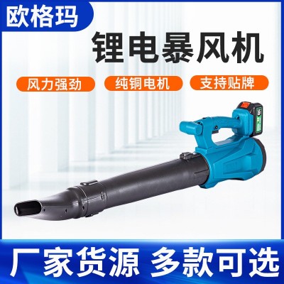 工业暴风枪无刷大功率吹风机锂电暴风机电动鼓风机吹叶机工厂批发图5