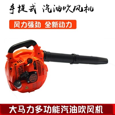 手提式轻便型EB260二冲汽油吹风机吹落叶吹尘土吹雪机 风力灭火机图2