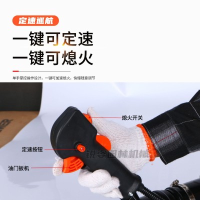 二冲程EB808汽油吹风机背负式大功率工业用吹尘机落叶风力灭火器图3