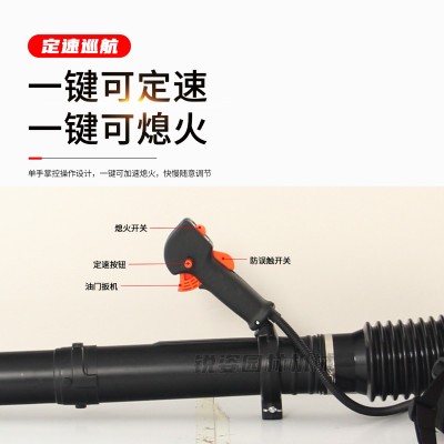 厂家直销风力灭火机大功率背式汽油吹风机鼓风机大棚吹雪道路除尘图3