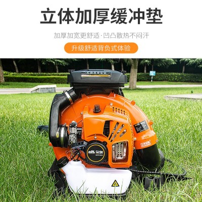 大功率二冲程背负式风力吹风机灭火机鼓风机森林消防吹叶机吹雪机图4