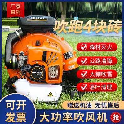 大功率二冲程背负式风力吹风机灭火机鼓风机森林消防吹叶机吹雪机图5