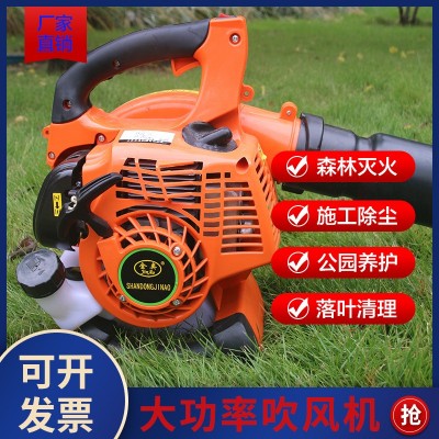二冲程轻便美观手提式吹风机收集落叶吹吸两用园林绿化小区清扫图5