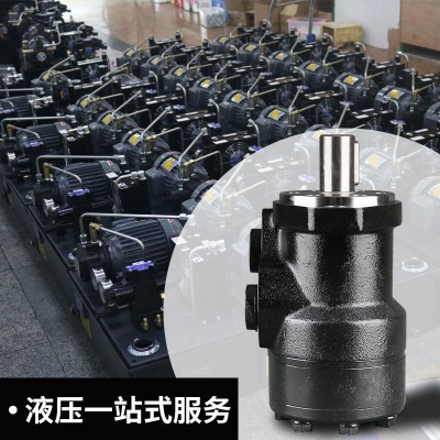 液压马达低速大扭矩BMR36/100/125/160/200315农机鞋机模具油马达图2