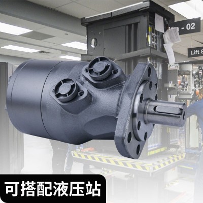 低速大扭矩液压马达BMH200/250/315/400/500 硫化机油压机油马达图3
