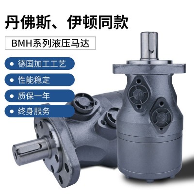 低速大扭矩液压马达BMH200/250/315/400/500 硫化机油压机油马达图5