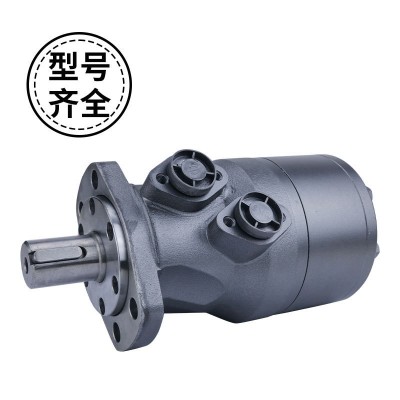 低速大扭矩液压马达BMH200/250/315/400/500 硫化机油压机油马达图4