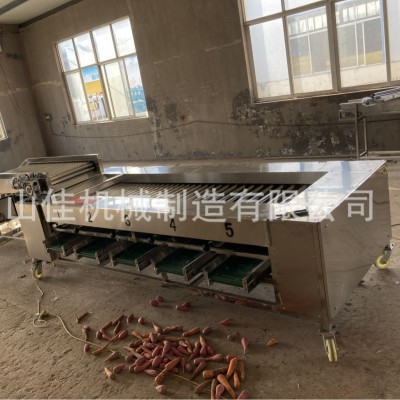杏子大小分级机山楂滚杠分选板栗分果机小番茄分选设备柠檬分挑图2