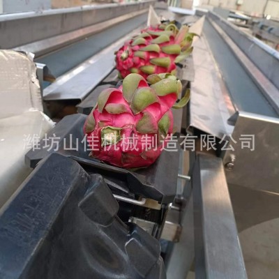 猕猴桃分选机牛油果等级挑选机丑橘选果机电子只能选果机加工图3