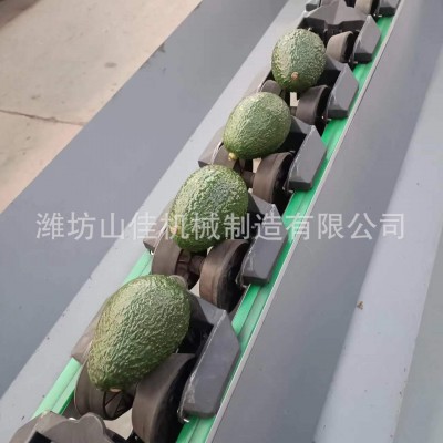 猕猴桃分选机牛油果等级挑选机丑橘选果机电子只能选果机加工图2