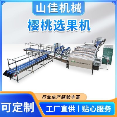 大樱珠直径分级美早樱桃选拣小番茄杨梅分挑机圣女果分拣流水线