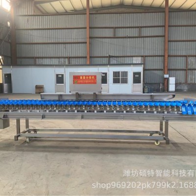 小龙虾分选机牡蛎称重分级机生蚝分拣机果蔬重量分级设备厂家图3