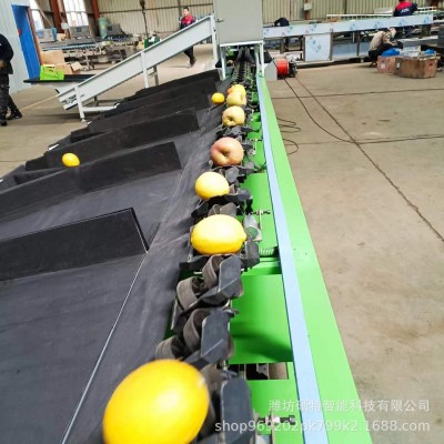 西瓜称重分选机茵红李选果机桃子分级机价格图3