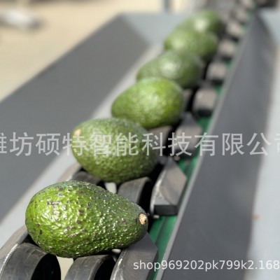 西瓜称重分选机茵红李选果机桃子分级机价格图4