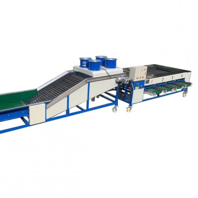 荔枝选果机价格小型家用选果机直径分拣机水果分级机厂家图2