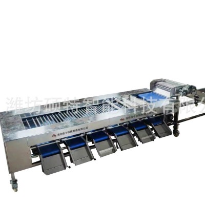 荔枝选果机价格小型家用选果机直径分拣机水果分级机厂家图3