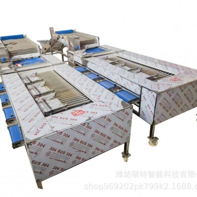荔枝选果机价格小型家用选果机直径分拣机水果分级机厂家图4