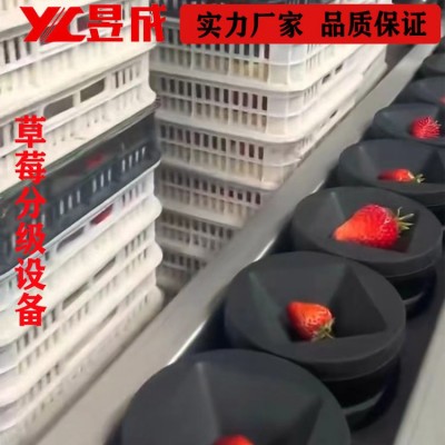 重量糖度 草莓分选机 西瓜分级机 水果分选设备 自动选果机图5