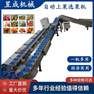 苹果弥胡桃 全自动小型选果机 不伤果一机多用 水果分选机图5