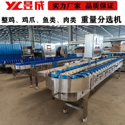 苹果弥胡桃 全自动小型选果机 不伤果一机多用 水果分选机图3
