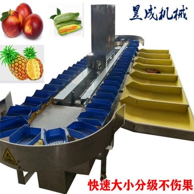 水果称重分级机 小型苹果分选机 自动选果机 水果分级机 水果选别图5
