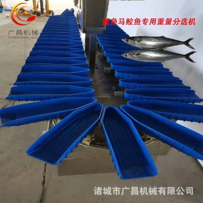 多级鱿鱼仔称重机全自动料盒式重量分选机虾类鱼类智能自动分拣机图2