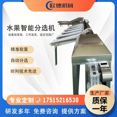 全自动水果称重分选机 火龙果柑橘橙子分级机 水果智能重量分选机图4