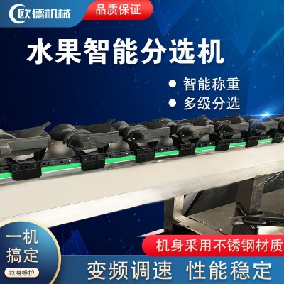 全自动水果称重分选机 火龙果柑橘橙子分级机 水果智能重量分选机图2