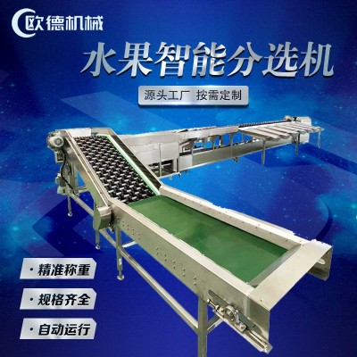 全自动水果称重分选机 火龙果柑橘橙子分级机 水果智能重量分选机图3