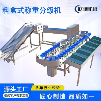 自动化水果分选机 蓝莓智能称重分选机 柠檬百香果分级设备工厂图4