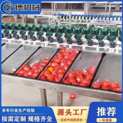 自动化水果分选机 蓝莓智能称重分选机 柠檬百香果分级设备工厂图2
