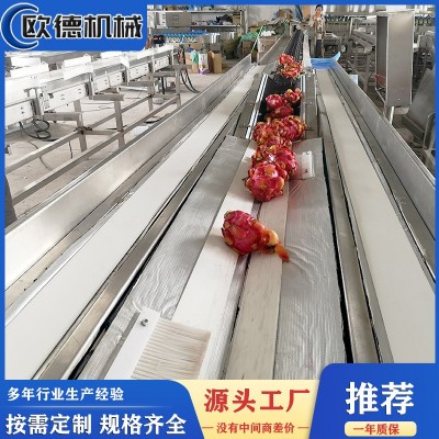 定制自动称重分选流水线 荔枝自动称重分级机 柑橘水果智能分选机图4