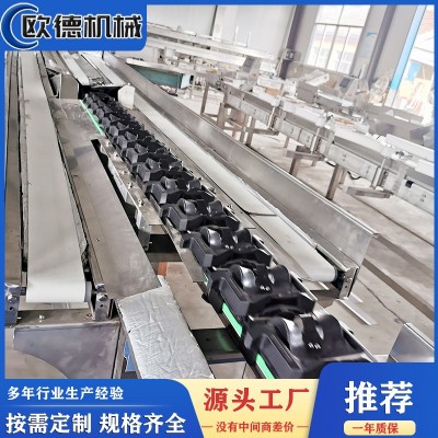 定制自动称重分选流水线 荔枝自动称重分级机 柑橘水果智能分选机图2
