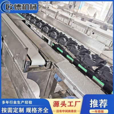 定制自动称重分选流水线 荔枝自动称重分级机 柑橘水果智能分选机图3