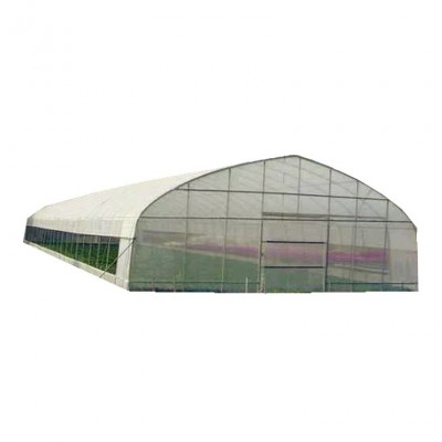 现货批发农业温室大棚Steel Greenhouse 欧美番茄蔬菜种植大棚