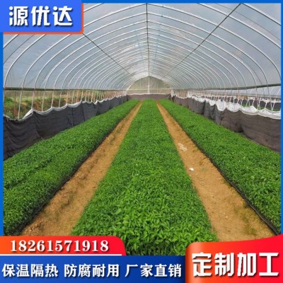 厂家批发外遮阳单体蔬菜番茄农业种植温室大棚材料跨境出口南非图3
