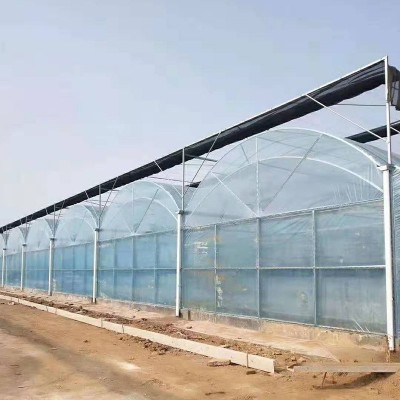 连栋温室蔬菜大棚连栋温室骨架大棚 外遮阳薄膜花卉温室大棚图2