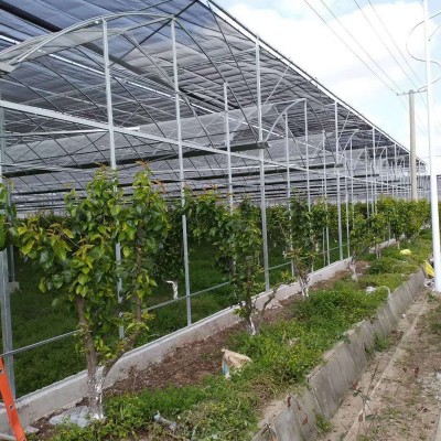 连栋温室蔬菜大棚连栋温室骨架大棚 外遮阳薄膜花卉温室大棚图3