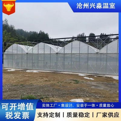 连栋温室蔬菜大棚连栋温室骨架大棚 外遮阳薄膜花卉温室大棚图5