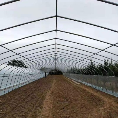 农用育苗花卉冷棚安装简易 薄膜大棚加工春秋冷棚单体插地棚拱棚图3